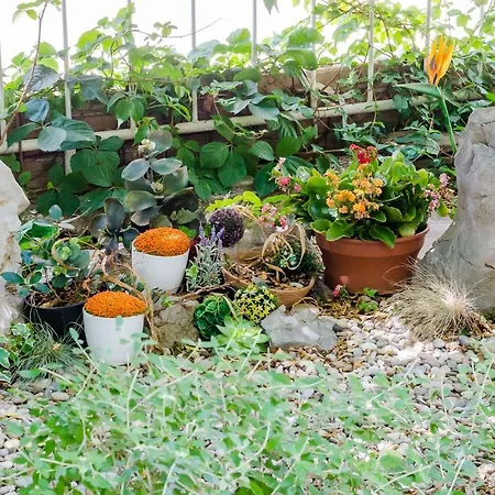 卡里阿公寓酒店 * 杜布罗夫尼克