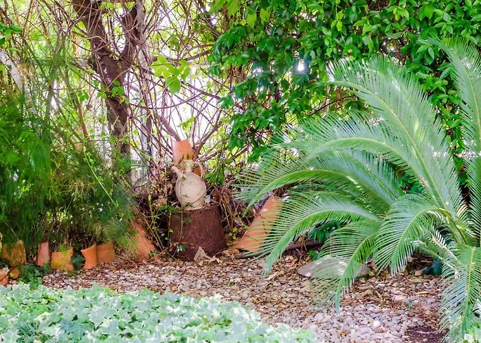 公寓 卡里阿公寓酒店 *