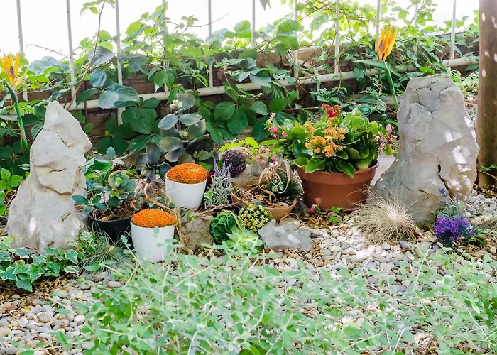 卡里阿公寓酒店 * 杜布罗夫尼克